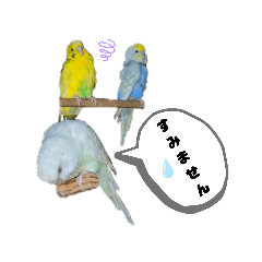 [LINEスタンプ] わが家の小さな癒やし系 2