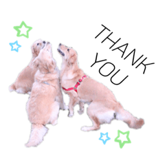 [LINEスタンプ] 杭瀬川のゆかいな仲間たち＊その2