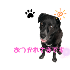 [LINEスタンプ] 我が家の幸次郎"2