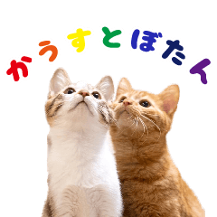 [LINEスタンプ] かうすとぼたん