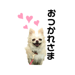 [LINEスタンプ] まいにちこころ。