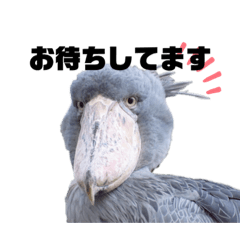 [LINEスタンプ] 鳥さんたちのご挨拶 その2