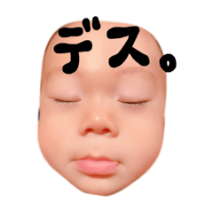 [LINEスタンプ] ゆじゅきちの日常❸