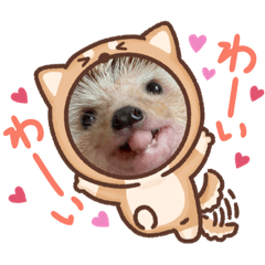[LINEスタンプ] はるちゃんすたんぷ^_^