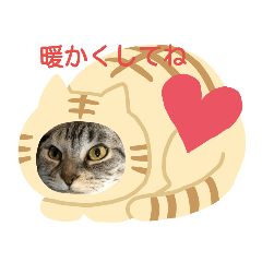 [LINEスタンプ] ぶち犬とたまちゃん2