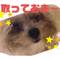 [LINEスタンプ] ナラファミリー18
