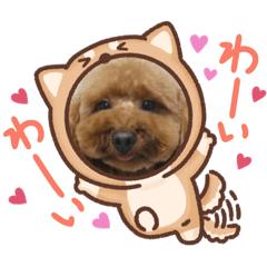 [LINEスタンプ] わんこで、挨拶！！❗