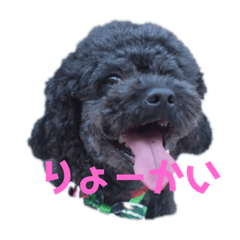 [LINEスタンプ] くろみつぅ