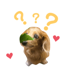 [LINEスタンプ] ファミちゃんアイランド5