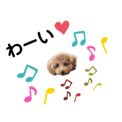 [LINEスタンプ] トイプードルのミロ2