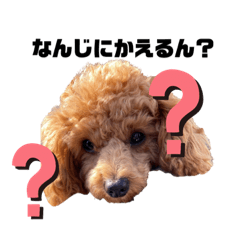 [LINEスタンプ] 茶々623