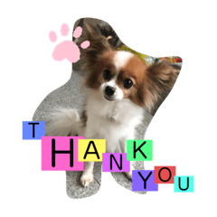 [LINEスタンプ] My Dog Jewel 2