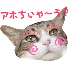 [LINEスタンプ] ごえもん日和 8