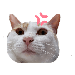 [LINEスタンプ] 我が家の曲者達