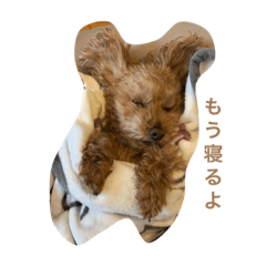[LINEスタンプ] 茶々のすたんぷ