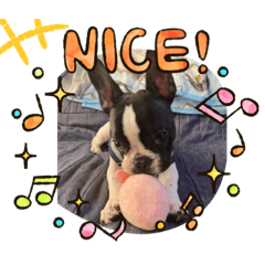 [LINEスタンプ] jin stamp( > < )