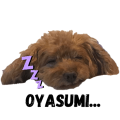 [LINEスタンプ] こぱりんの日常