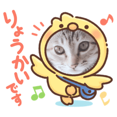 [LINEスタンプ] よもぎねこスタンプ