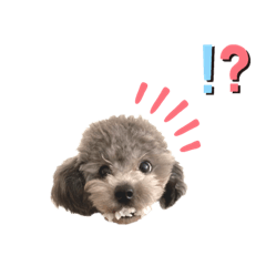 [LINEスタンプ] ぽんずちゃんスタンプ2