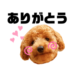[LINEスタンプ] あかねのちゃちゃ