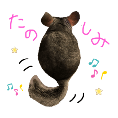 [LINEスタンプ] チンチラのおはぎさん
