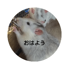 [LINEスタンプ] 大西家のラットさん2