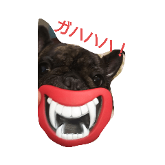[LINEスタンプ] 日常良く使う言葉  フレブル