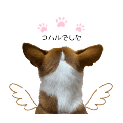 [LINEスタンプ] コハルスペシャル！