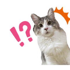 [LINEスタンプ] ノルウェージャンのエル②