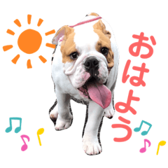 [LINEスタンプ] ブルドッグのラブトニーちゃん