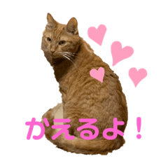 [LINEスタンプ] みい＆めいPart 2