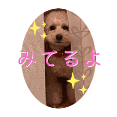 [LINEスタンプ] ウチの不思議クンまっしゅ