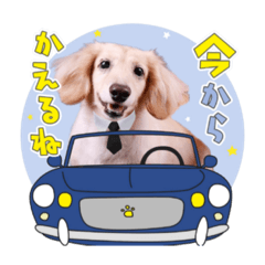 [LINEスタンプ] 癒し犬ダックス
