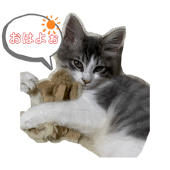 [LINEスタンプ] ノルウェージャンのエル