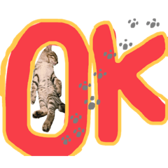 [LINEスタンプ] にゃん達！！第二弾！！