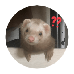 [LINEスタンプ] チョマスタンプ