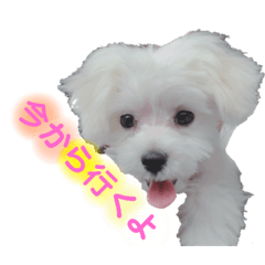 [LINEスタンプ] うゆのスタンプ③