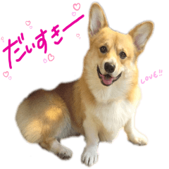 [LINEスタンプ] コーギーの"ミントくん"