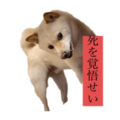 [LINEスタンプ] ふちゃんだよ