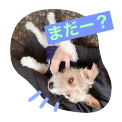 [LINEスタンプ] 定吉くんMAX