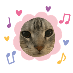 [LINEスタンプ] 可愛いすぎてたまらない仲間たち
