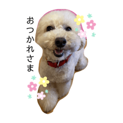 [LINEスタンプ] ウチの不思議クンまっしゅPart3