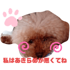 [LINEスタンプ] ナラファミリー23