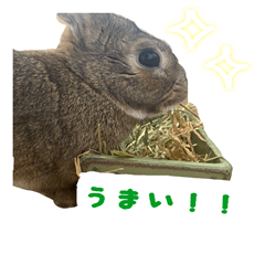 [LINEスタンプ] みけさんスタンプ2