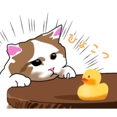 [LINEスタンプ] うちの三毛