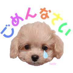 [LINEスタンプ] タレ目のテディさん