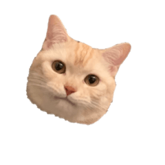 [LINEスタンプ] お宝ふぁみりぃねこ2