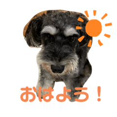 [LINEスタンプ] びびと、のほほんな毎日