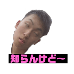 [LINEスタンプ] ドラ愉快な仲間達スタンプ