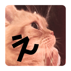 [LINEスタンプ] マンチカンの万作2